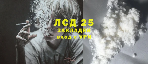 прущие грибы Верхнеуральск