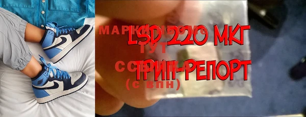 дживик Верея