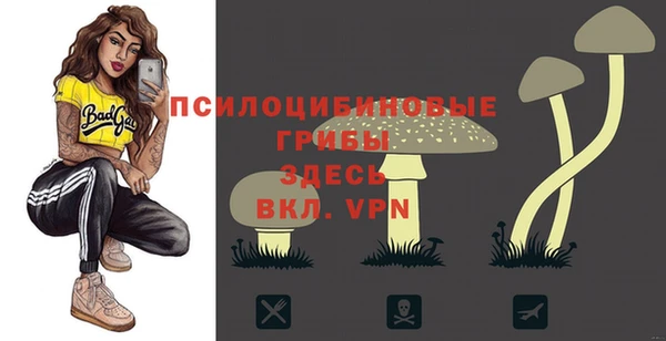 прущие грибы Верхнеуральск