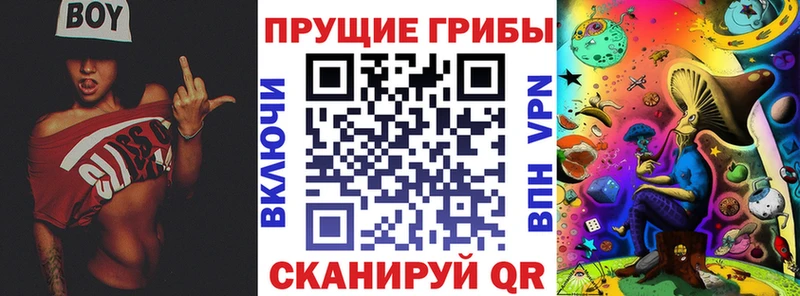 Купить  Красноперекопск  Галлюциногенные грибы прущие грибы 